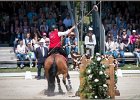 Pferd International 069